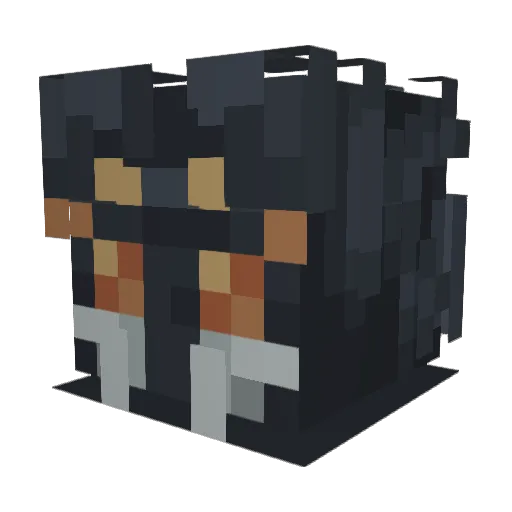 _P1gGuy254_ Minecraft avatar head, 3D render