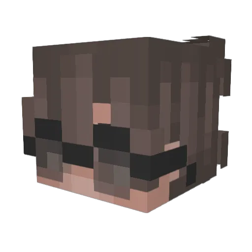 _P1ge0n Minecraft avatar head, 3D render