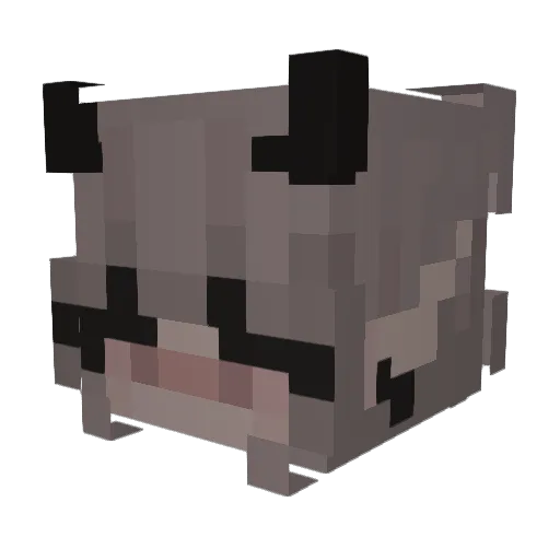 _PARZIVALL Minecraft avatar head, 3D render