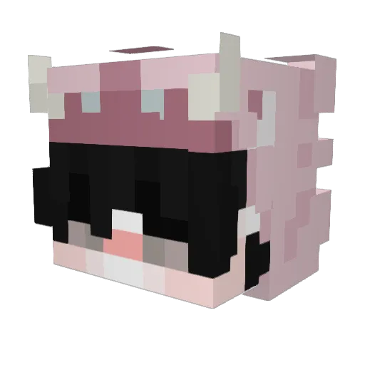 _PAXEN_ Minecraft avatar head, 3D render