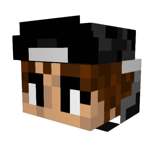 _PERPLEXING Minecraft avatar head, 3D render