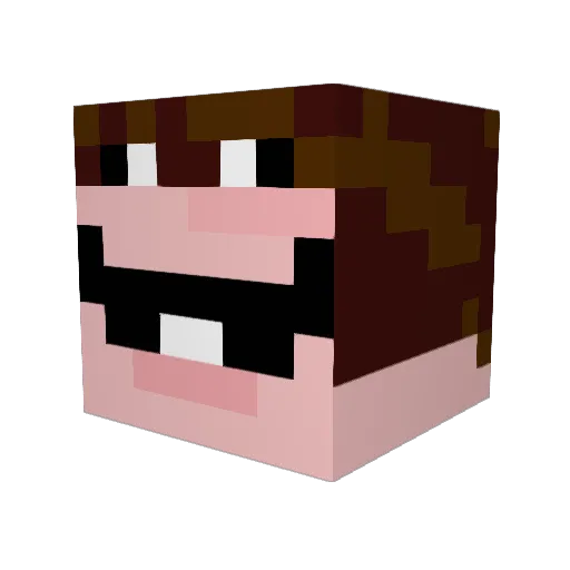 _PIGS Minecraft avatar head, 3D render