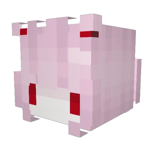 _PINK_Y Minecraft avatar head, 3D render