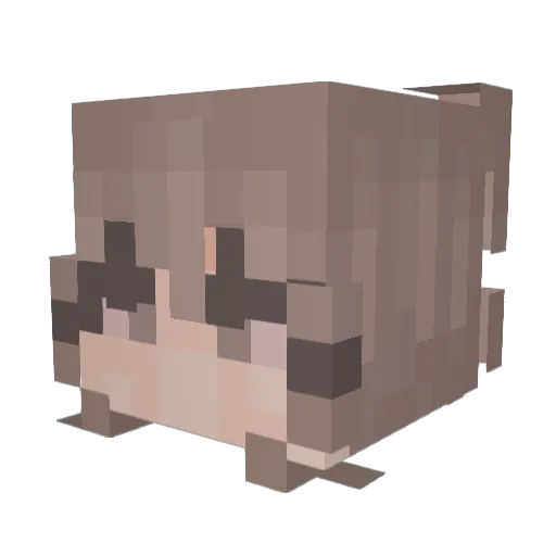 _PJcze_ Minecraft avatar head, 3D render