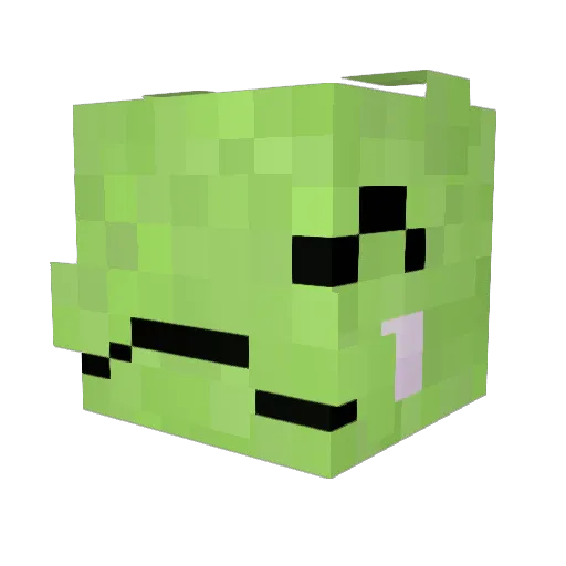 _POU_ Minecraft avatar head, 3D render
