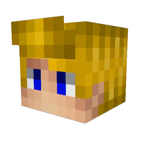 _PUSHKI1N_ Minecraft avatar head, 3D render