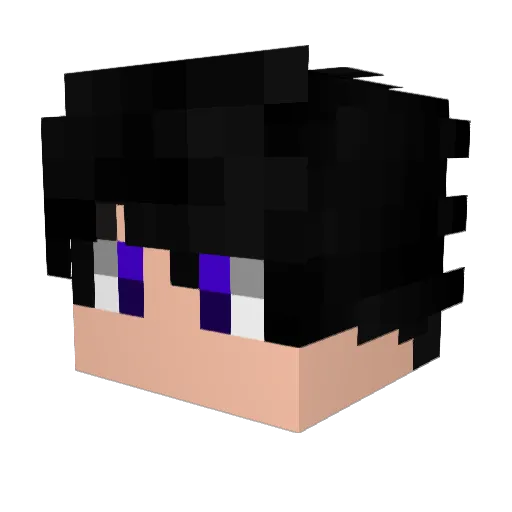 _Palmeirense Minecraft avatar head, 3D render