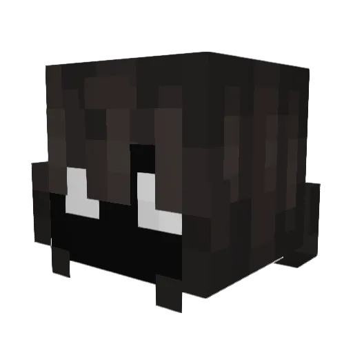 _Palmtree4 Minecraft avatar head, 3D render