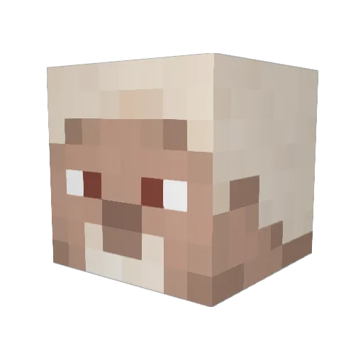 _Pan_Tofel_ Minecraft avatar head, 3D render