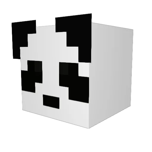 _PandaBro Minecraft avatar head, 3D render