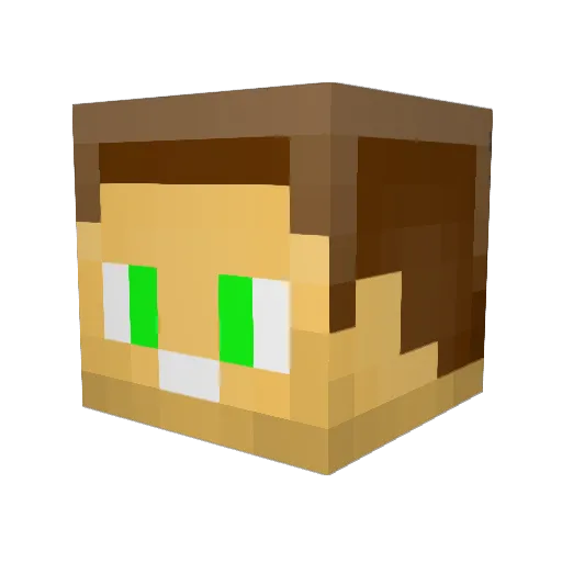 _PandaGreen_ Minecraft avatar head, 3D render