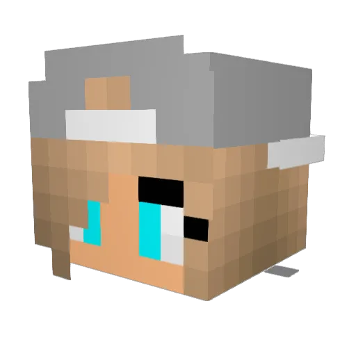 _PandaMeisje_ Minecraft avatar head, 3D render