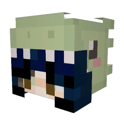 _Panderz_ Minecraft avatar head, 3D render
