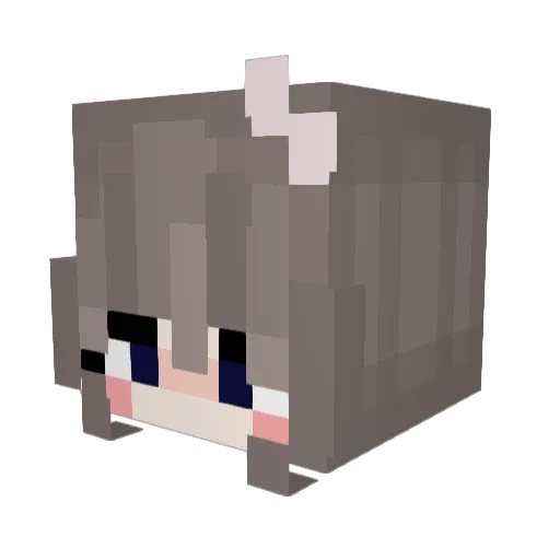 _Pandiinha Minecraft avatar head, 3D render