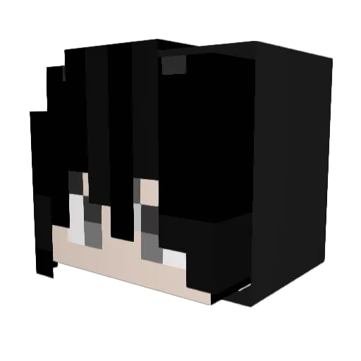 _PangPondX Minecraft avatar head, 3D render