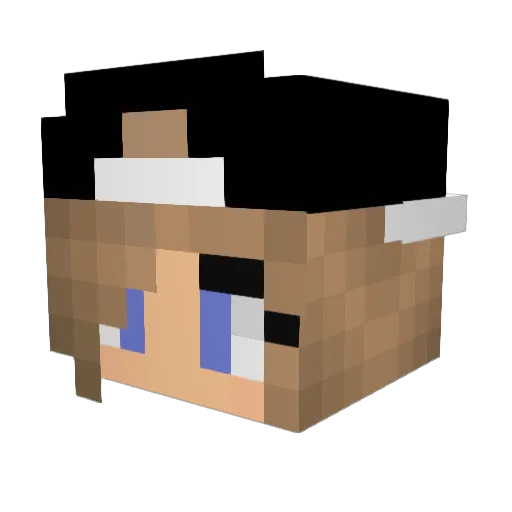 _Pange_ Minecraft avatar head, 3D render