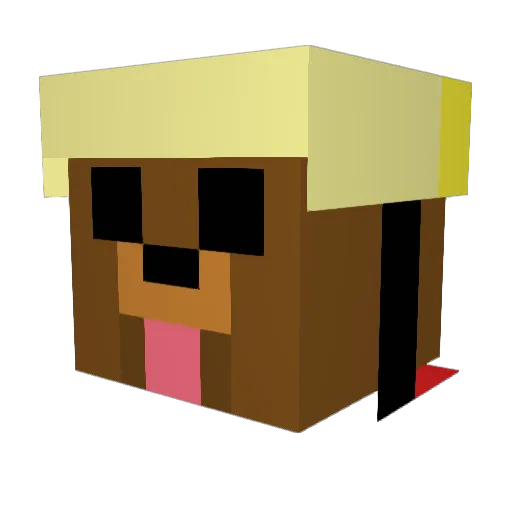 _PapaJuans_ Minecraft avatar head, 3D render