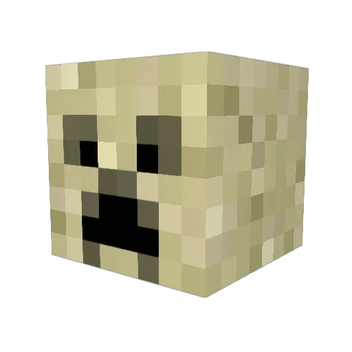 _Papii4 Minecraft avatar head, 3D render