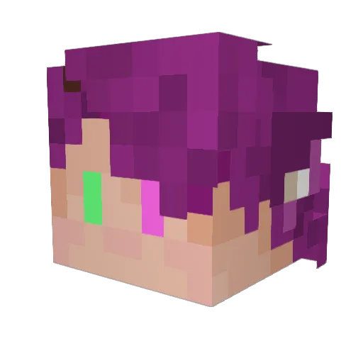 _Paradise_ Minecraft avatar head, 3D render