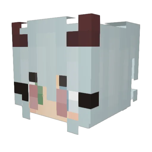 _ParkDuck_ Minecraft avatar head, 3D render
