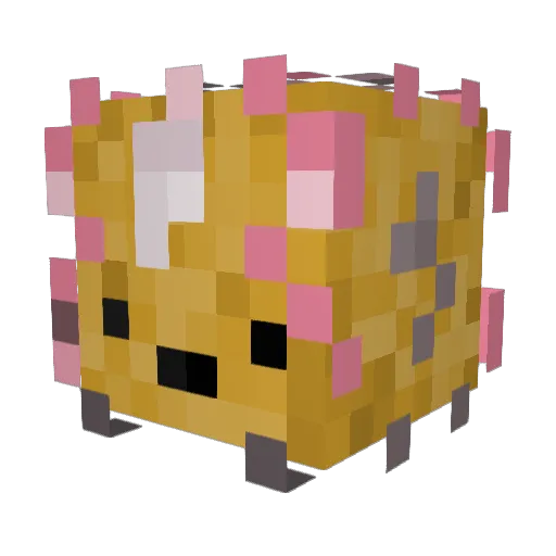 _Parry___ Minecraft avatar head, 3D render