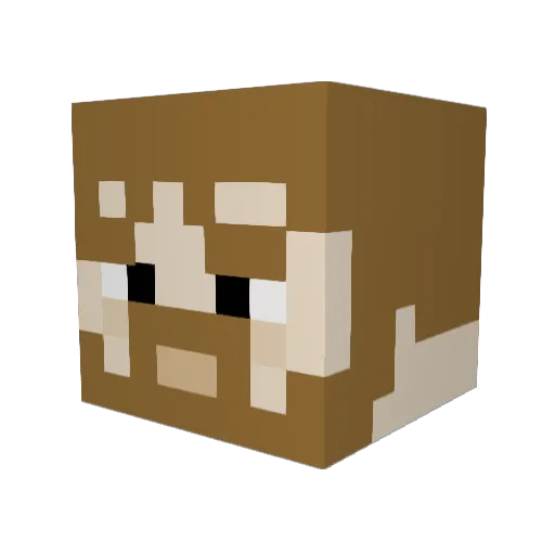 _Partizanas Minecraft avatar head, 3D render