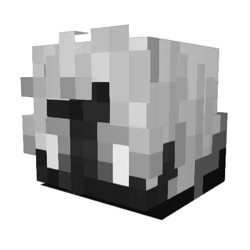 _Pasii_ Minecraft avatar head, 3D render