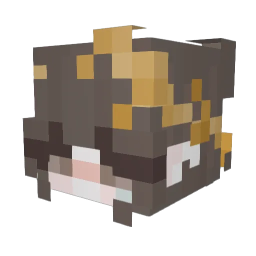 _Patana__ Minecraft avatar head, 3D render