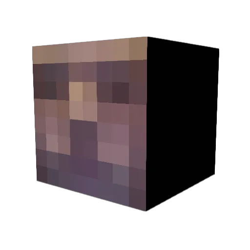 _Patoonia_ Minecraft avatar head, 3D render