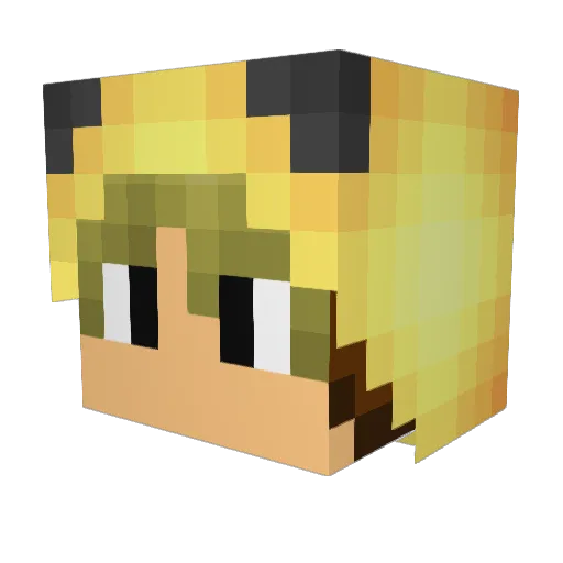 _Patsu_ Minecraft avatar head, 3D render