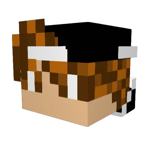 _Paulberger Minecraft avatar head, 3D render