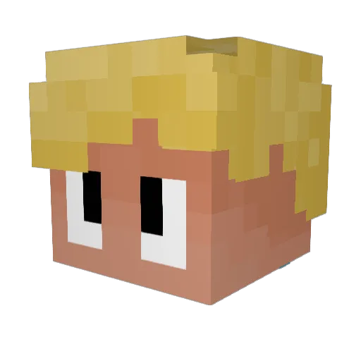 _Pelvin Minecraft avatar head, 3D render