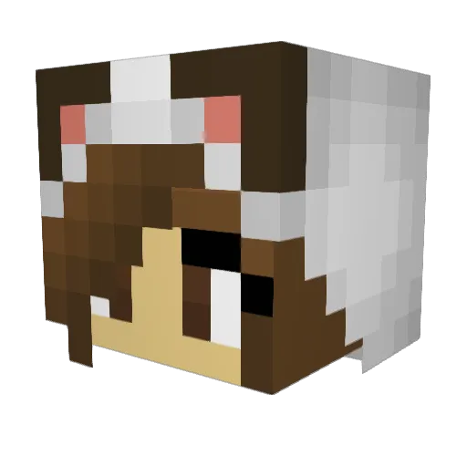_Peppy_ Minecraft avatar head, 3D render