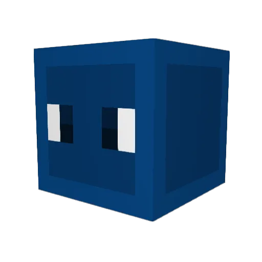 _PepsiBW Minecraft avatar head, 3D render