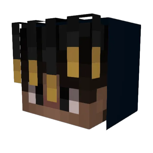 _Ph1lly_ Minecraft avatar head, 3D render