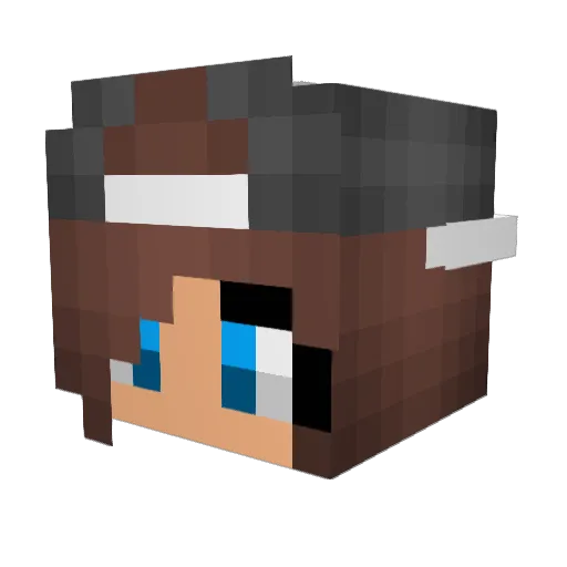 _PheonixDragon Minecraft avatar head, 3D render