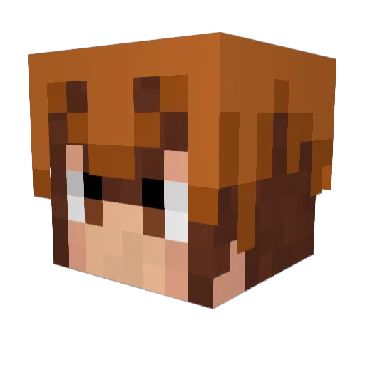 _PheonixShadow_ Minecraft avatar head, 3D render