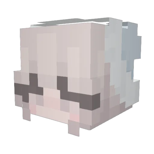 _PinguUuU_ Minecraft avatar head, 3D render