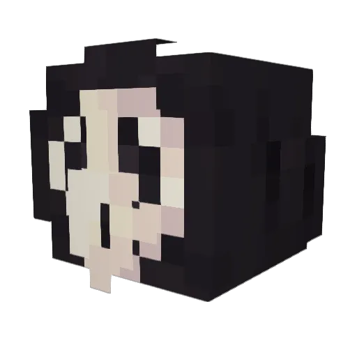 _Pinguinito Minecraft avatar head, 3D render