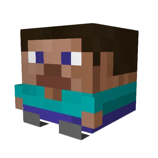 _PingusDingus Minecraft avatar head, 3D render