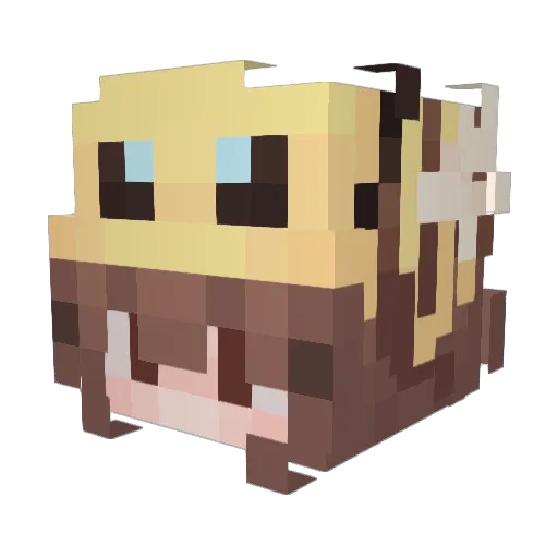 _PinkBee_ Minecraft avatar head, 3D render