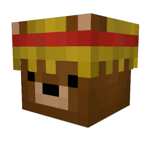 _Pita Minecraft avatar head, 3D render