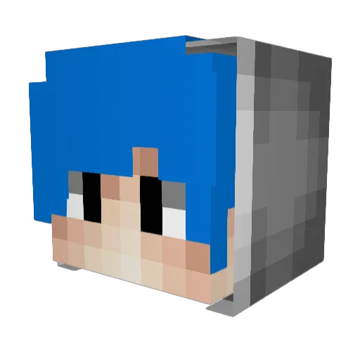 _Pits_ Minecraft avatar head, 3D render