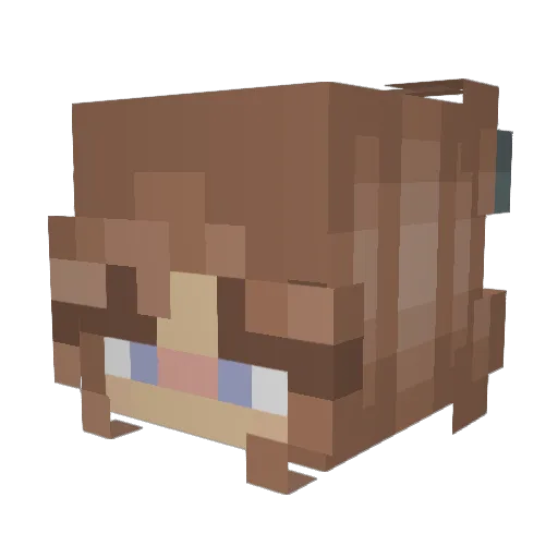 _PixelCat Minecraft avatar head, 3D render