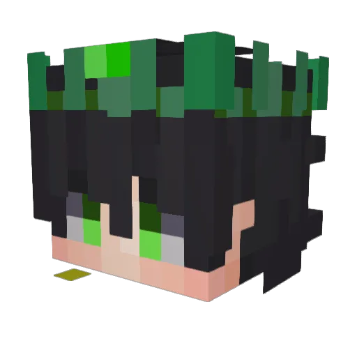 Minecraft-Avatar von _Pixlcraft_: Kopf als 3D-Render