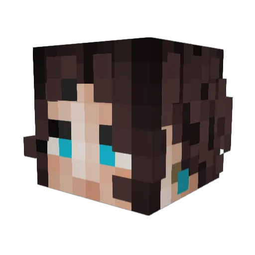 _Plastus_ Minecraft avatar head, 3D render
