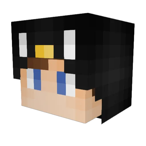 _Plngu_ Minecraft avatar head, 3D render
