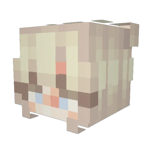 _Pluto_13 Minecraft avatar head, 3D render