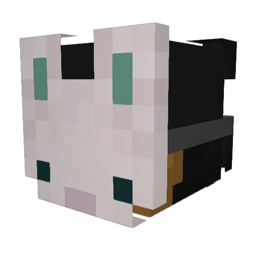 _PoLo Minecraft avatar head, 3D render