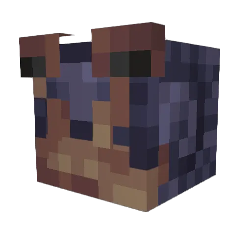 _Podunk Minecraft avatar head, 3D render